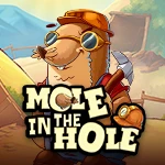 Mole in the Hole